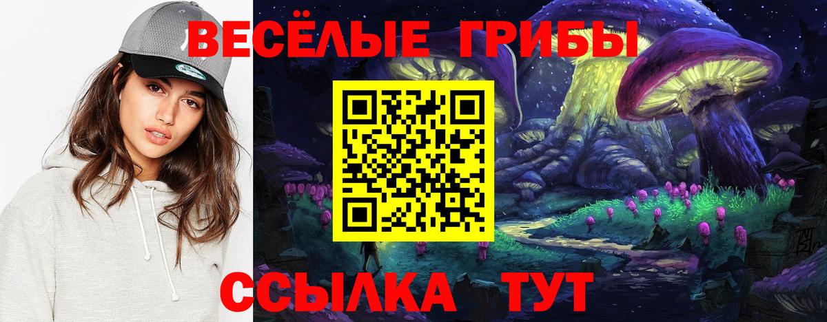 Шали  цена   Вход с VPN  Галлюциногенные грибы GOLDEN TEACHER 